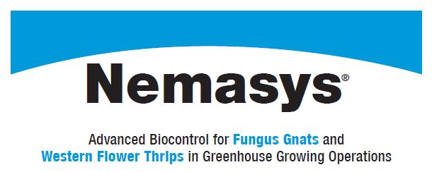 Nemasys 50 Million/Tray - Biological Control
